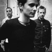 Muse