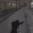 Venst