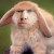 Профиль bananakep